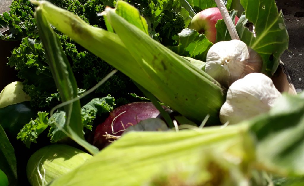 Skibbereen Community Hospital Veg