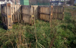 3 bays skibbereen community orchard 3 bays skibbereen community orchard