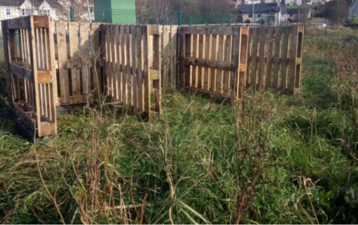 3 bays skibbereen community orchard